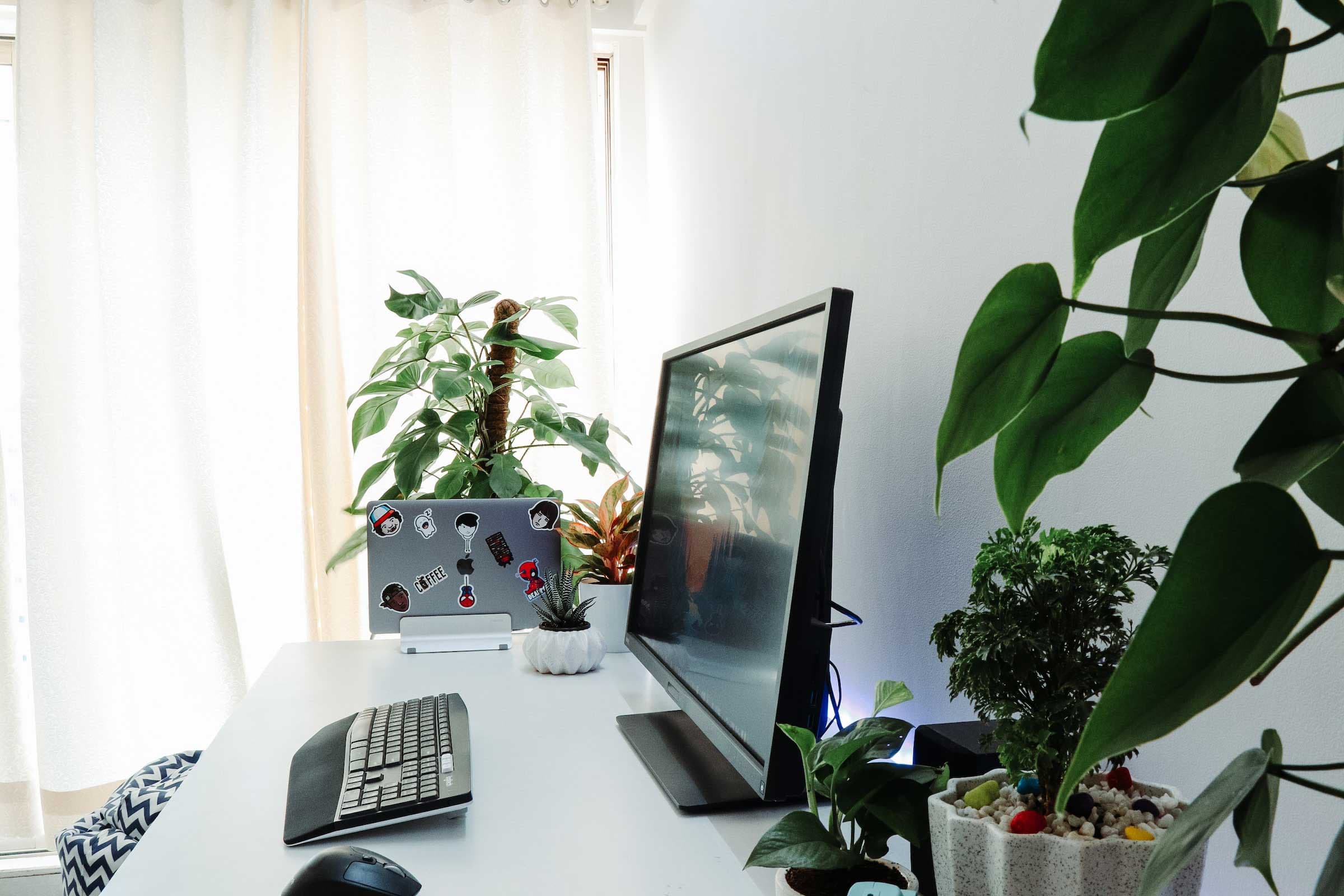 Sanni Sahil Desk Setup Image 3